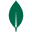 MongoDB
